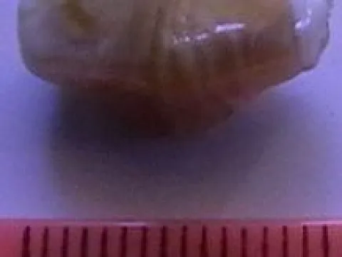 lampwork укр