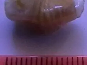 lampwork