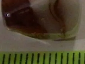 lampwork укр