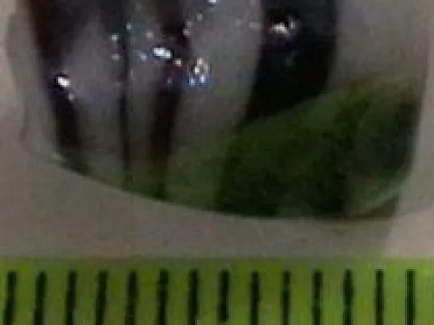 lampwork укр