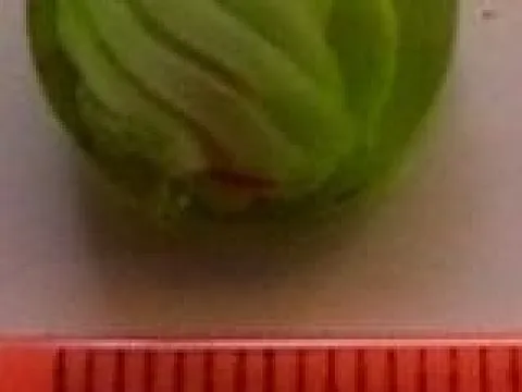 бусина укр