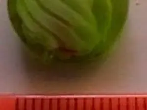 бусина укр