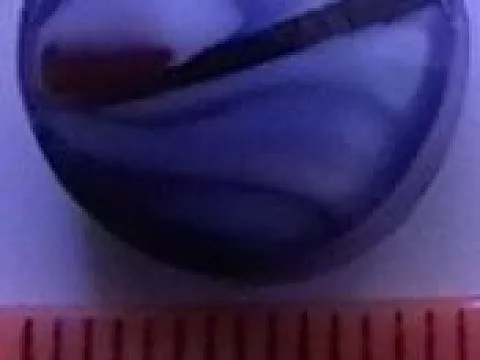 бусина укр