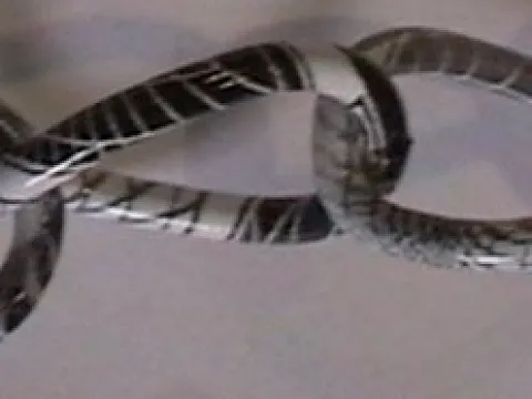 Ланцюг декоративна