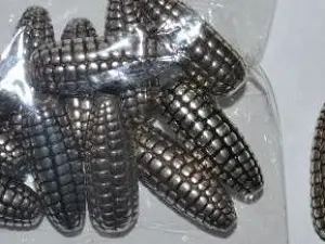 бусина
