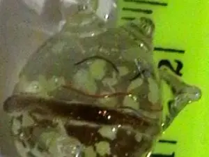lampwork укр