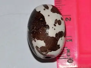 керамика