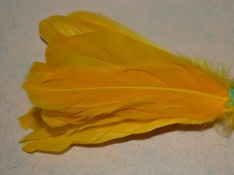 Перо на ніжці