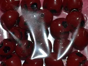 бусины