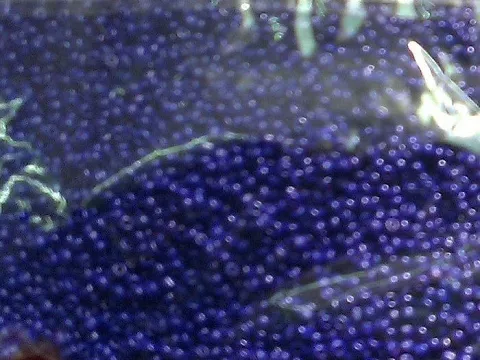 Бисер