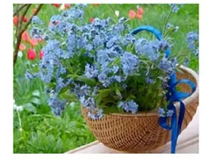 Схема 20*30см укр