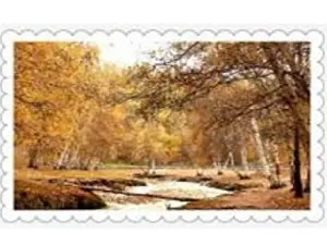 Схема 40*60см укр