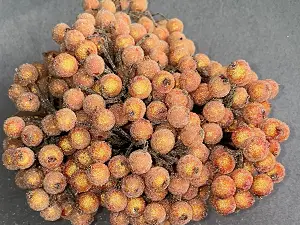 Сахарные ягодки калины