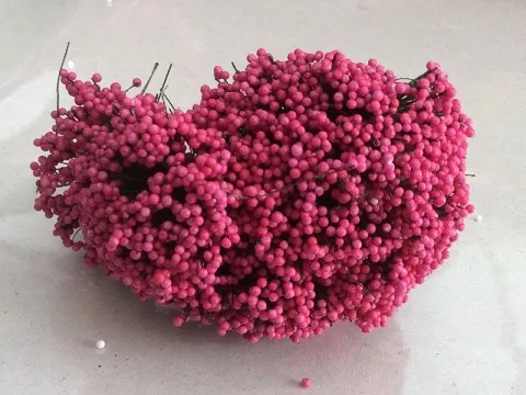 Тичинка