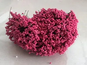 Тичинка