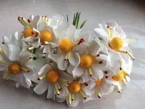 квіти