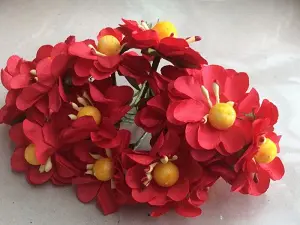 квіти