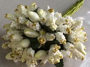 Тычинки на веточках