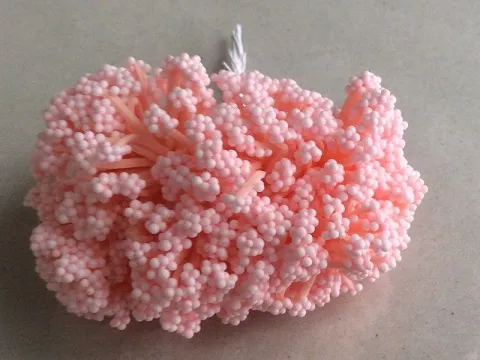 Тичинка