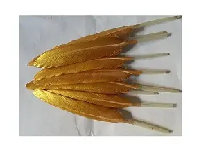 Пір'я