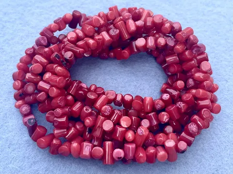 Коралл фигурный