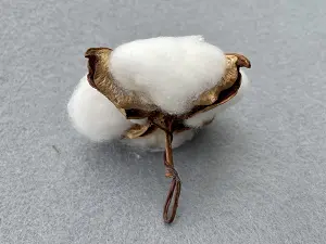 Бавовна -6см (15шт)