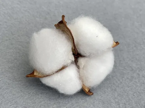 Бавовна -6см (15шт)