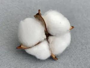 Хлопок -6см (15шт)