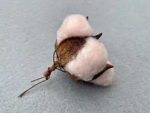 Бавовна -6см (15шт)